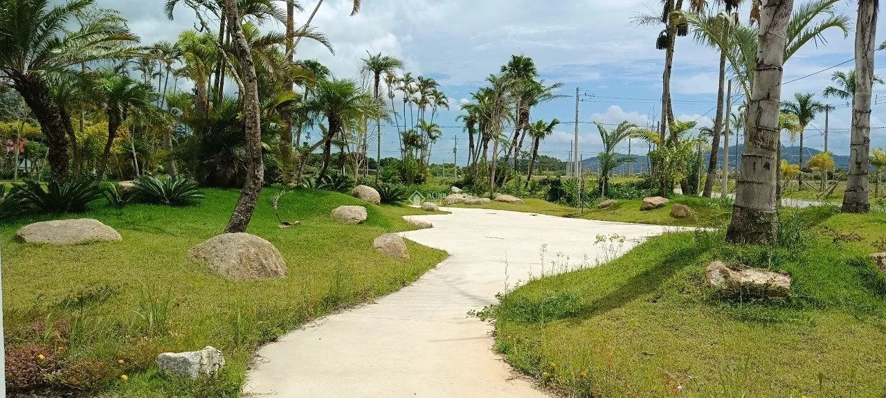Terreno no Real Parque de 450m² - Foto 3