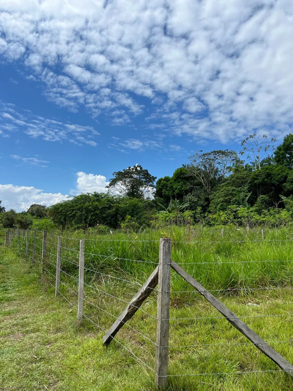 Vende-se lote próximo ao asfalto - Foto 3