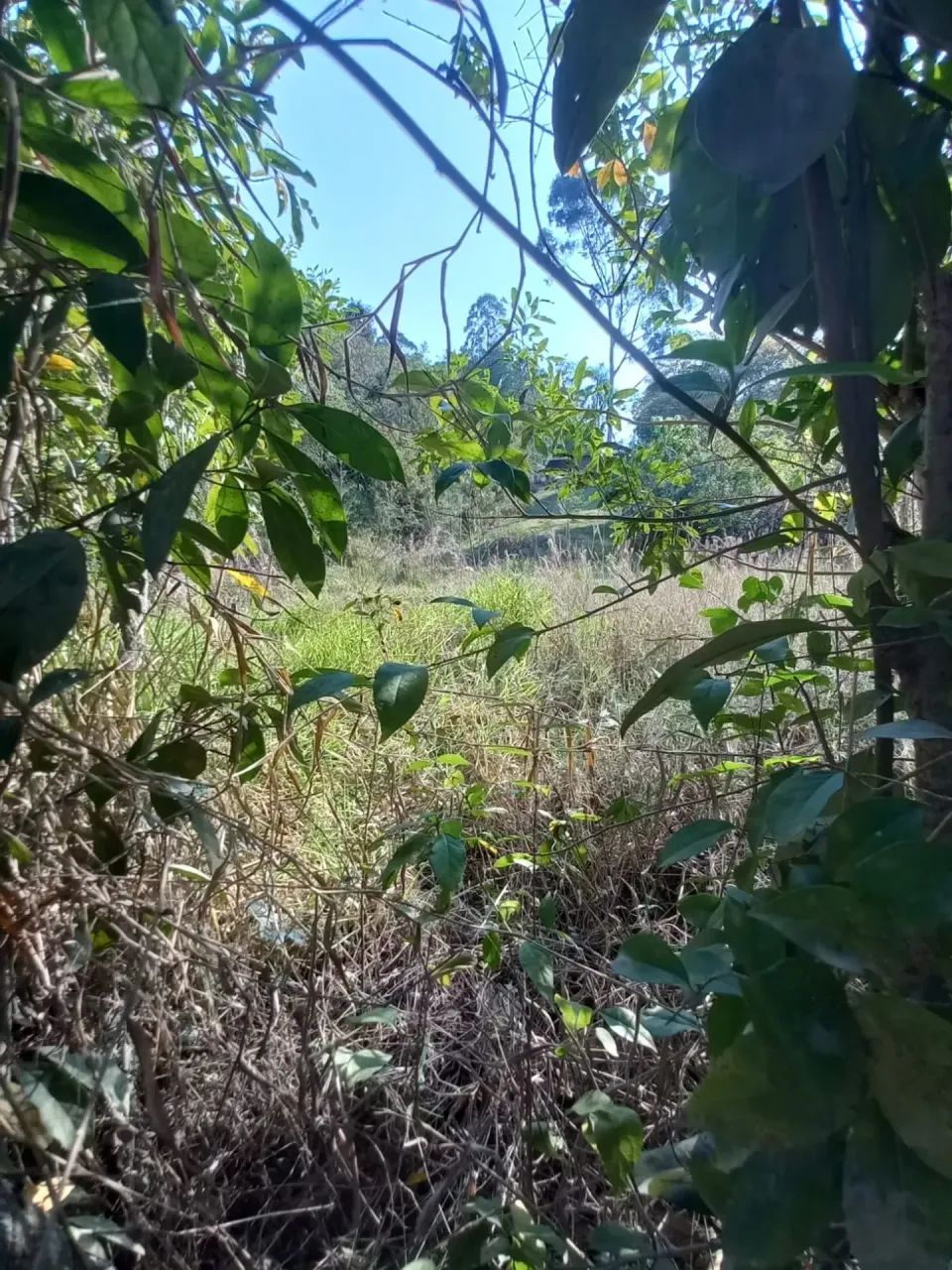 Condomínio Morada do Sol pronto para construir - Foto 3
