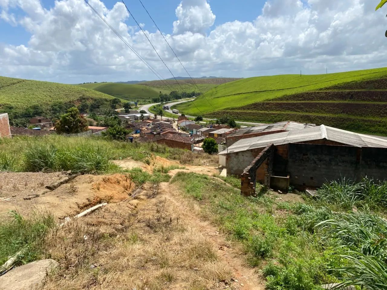 Terreno em Novo Lino  - Foto 5