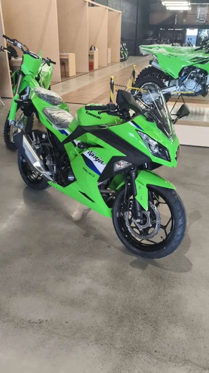 Ninja 300