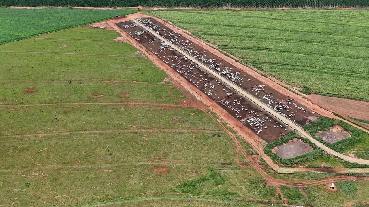 Fazenda com confinamento Uberlandia  - Foto 2