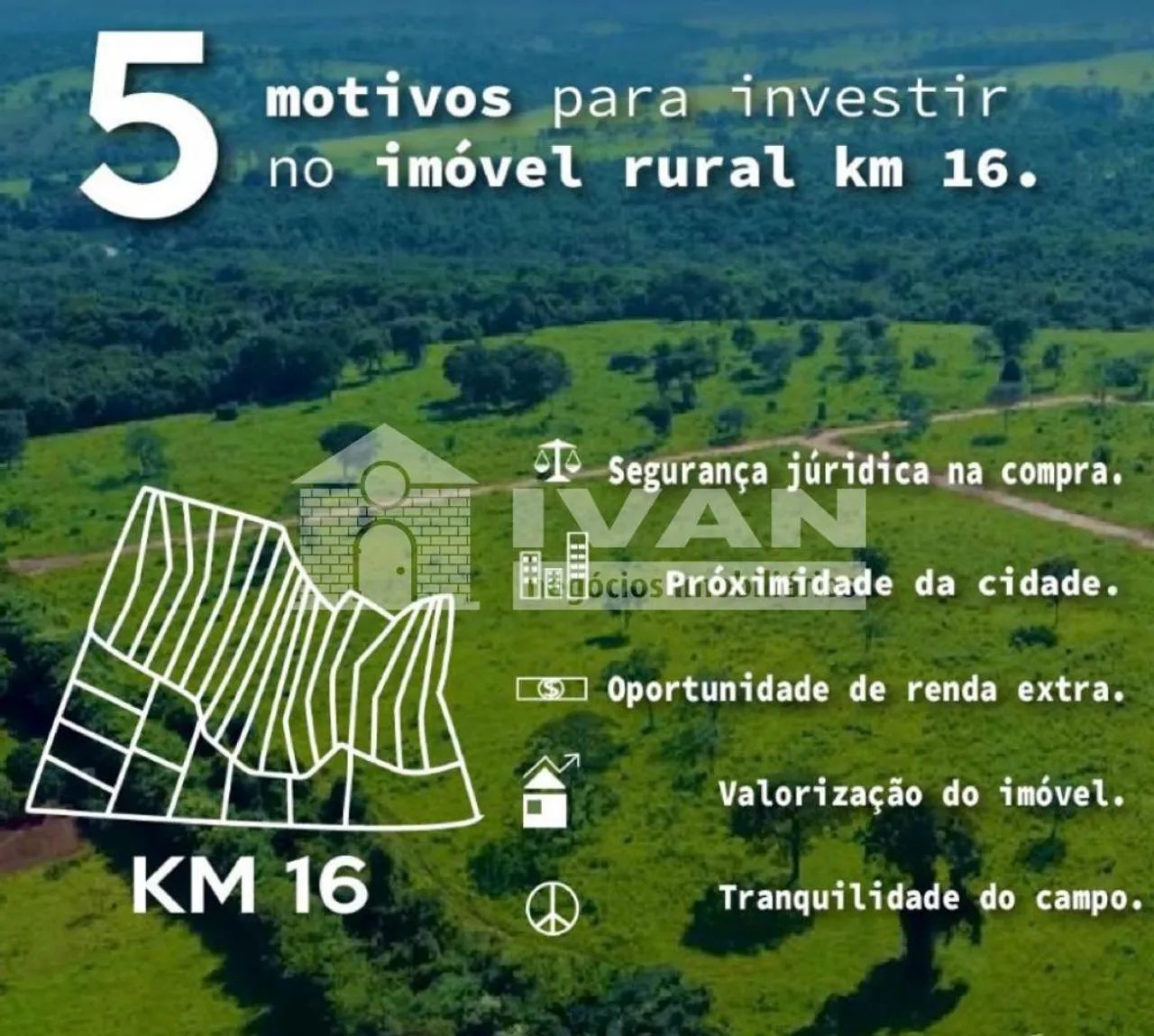 Lotes p chácaras de 10.000 e 20.000 m² - Foto 3