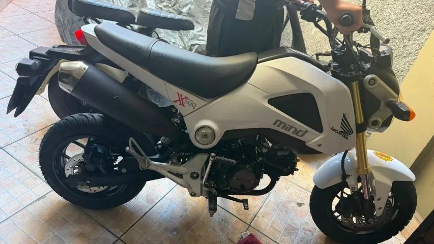 MINI HORNET 50C