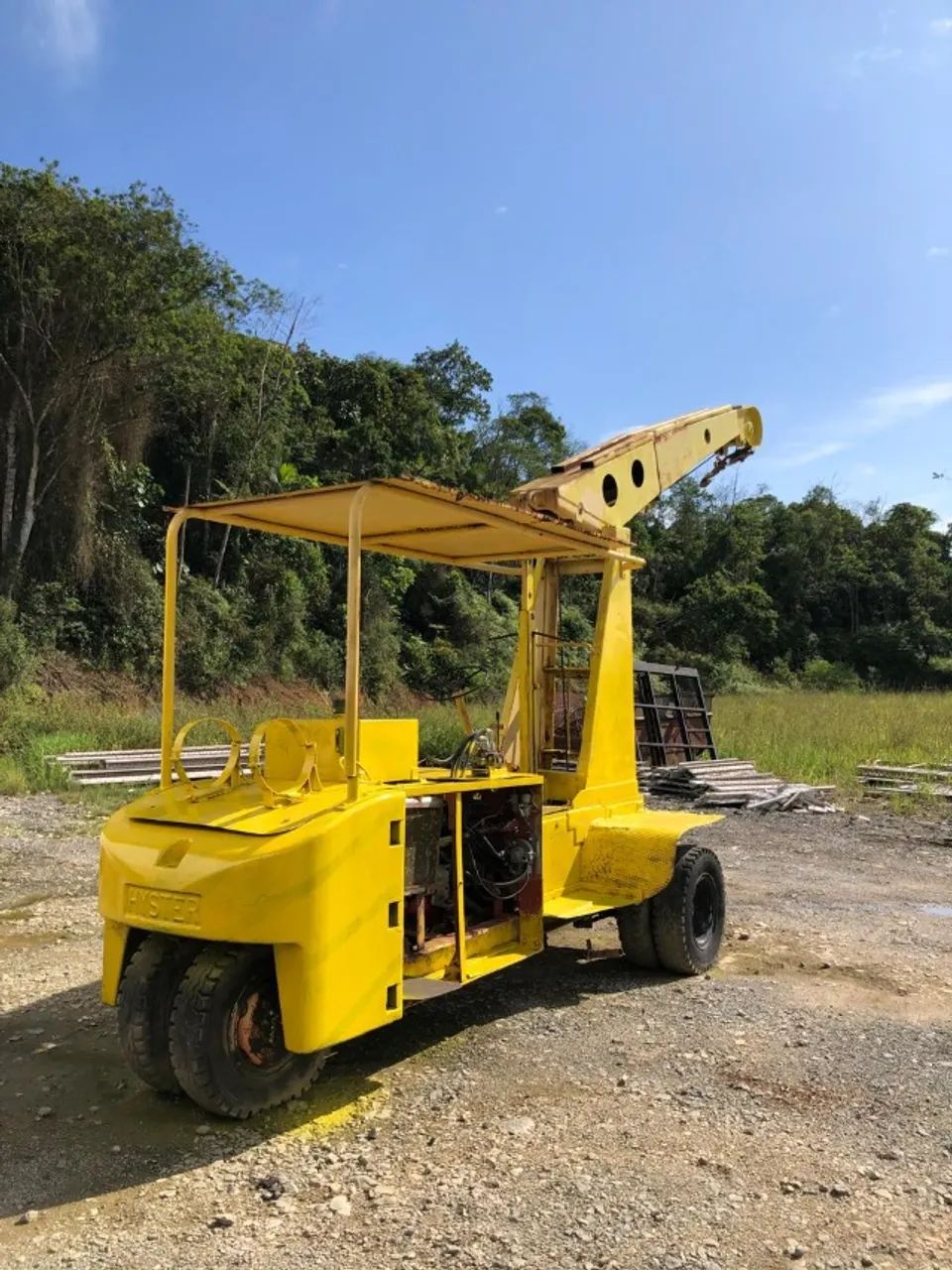 Guincho canarinho  - Foto 5