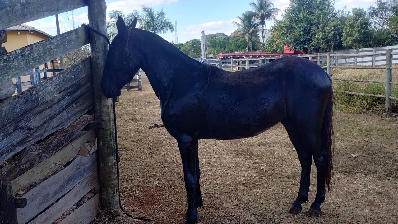 Vendo - Foto 2