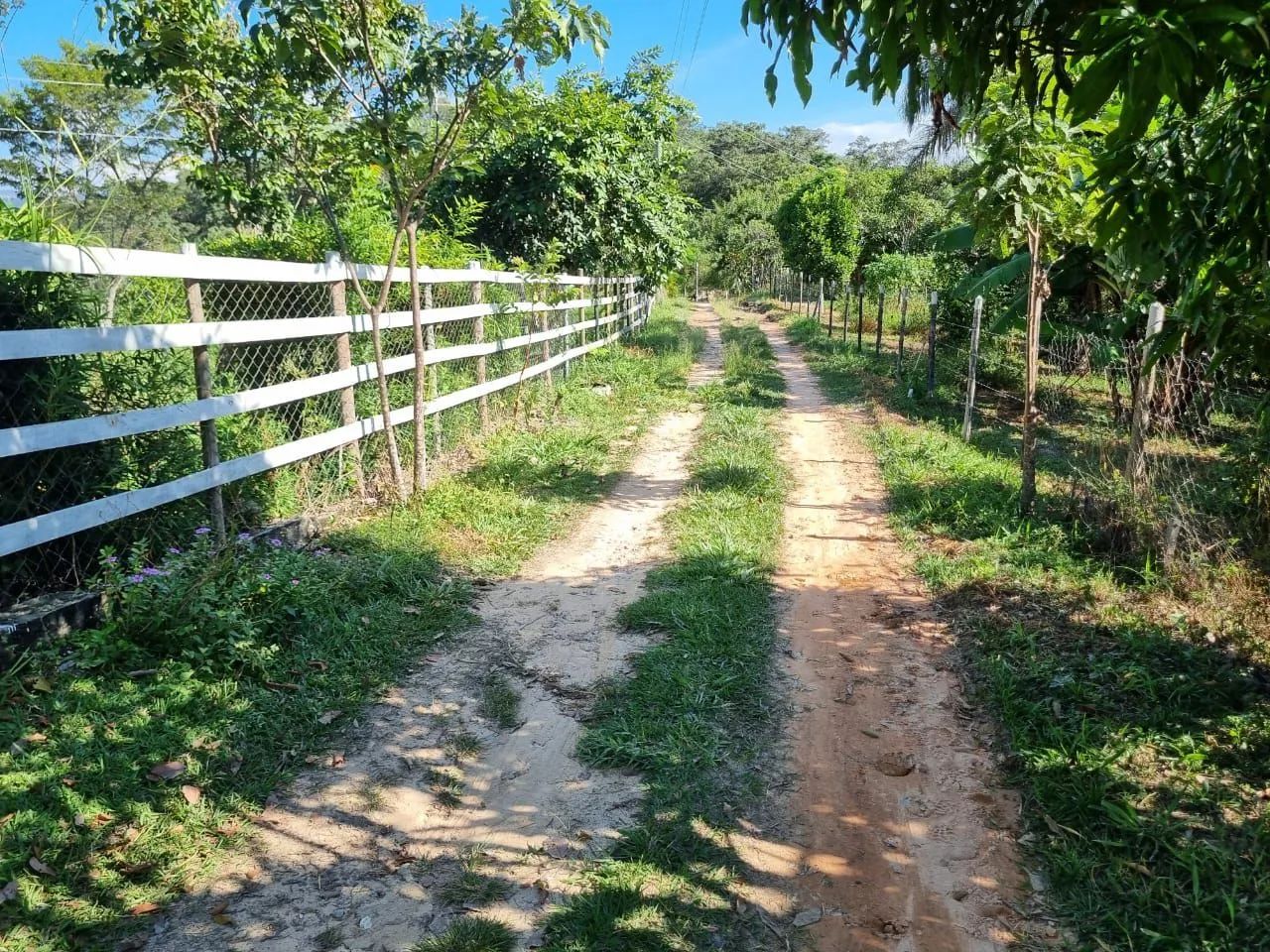 Terreno Rural  - Foto 4