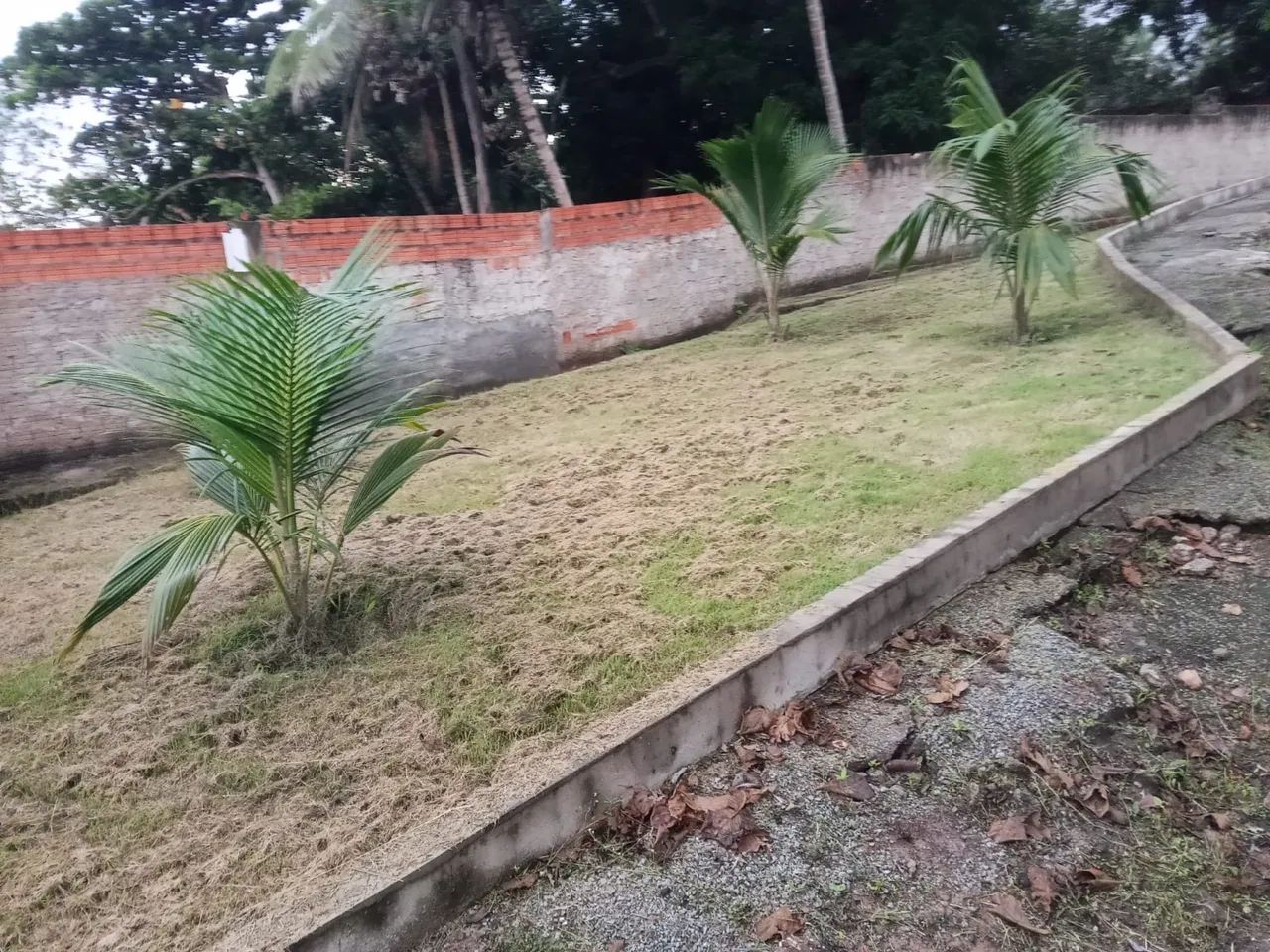 Timbuba sítio fundo para o mar  - Foto 3