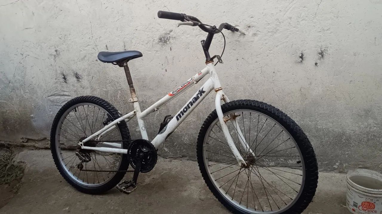 Bicicleta aro 24