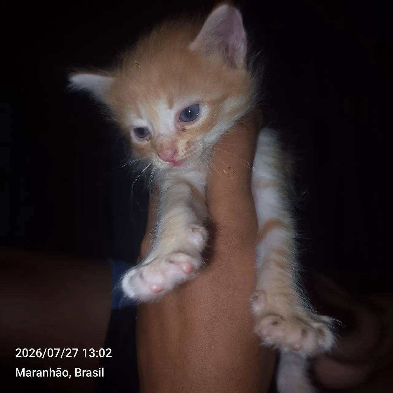 Gata