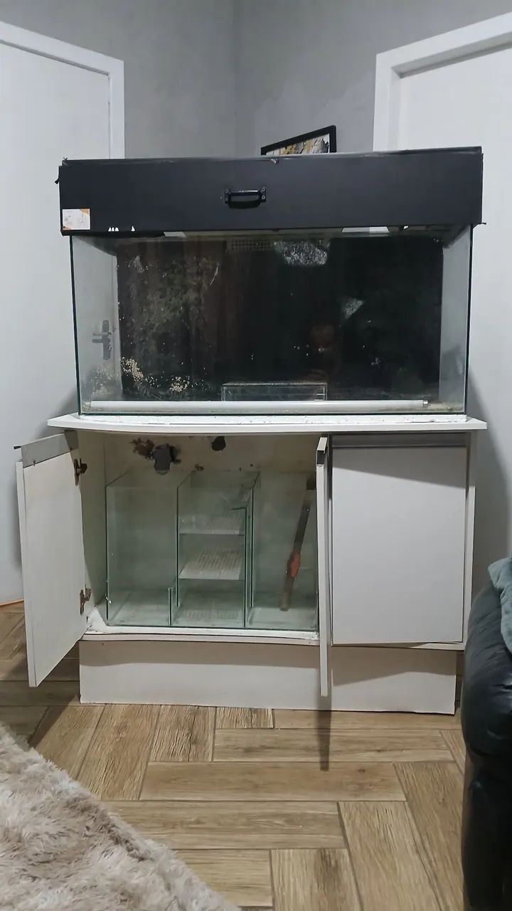 Aquário