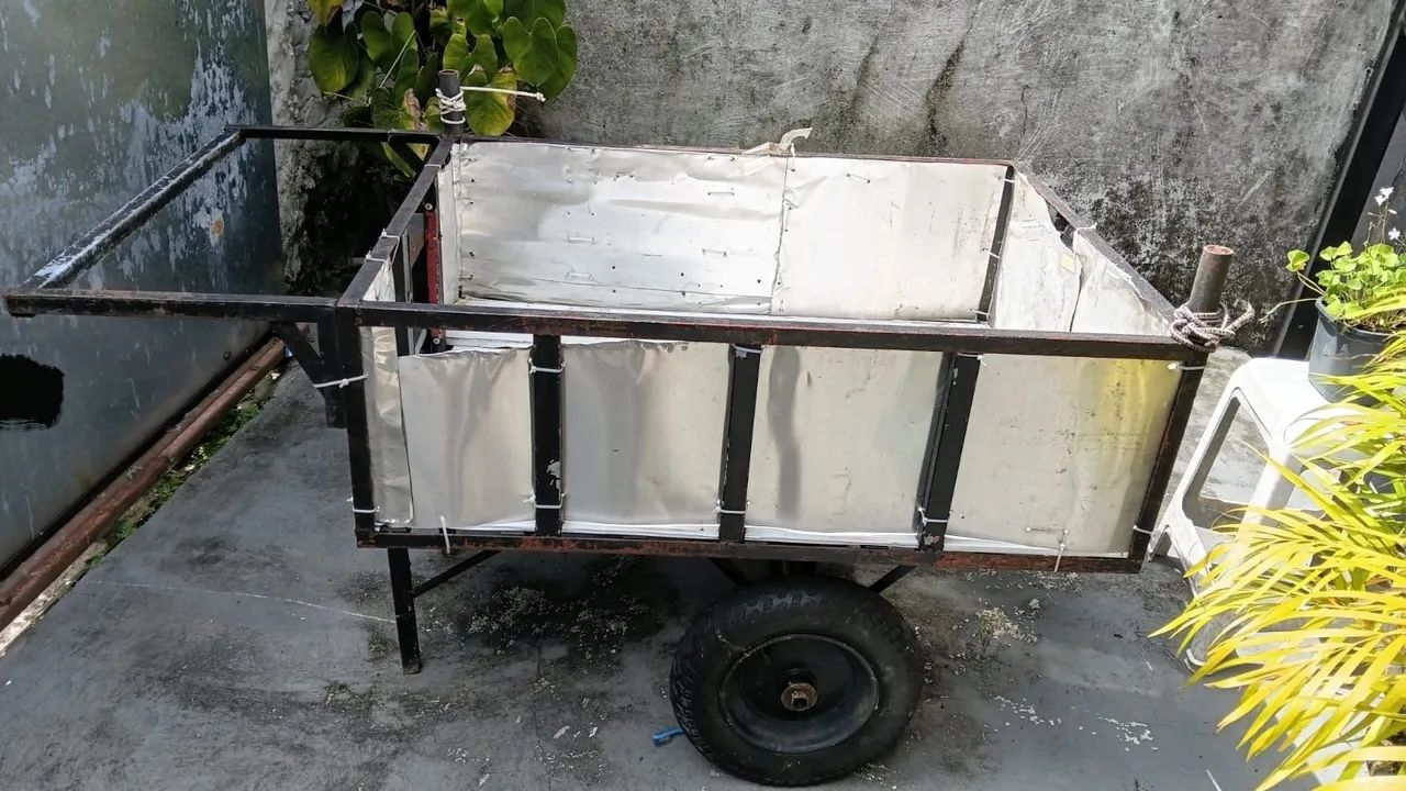 Carrinho  - Foto 2