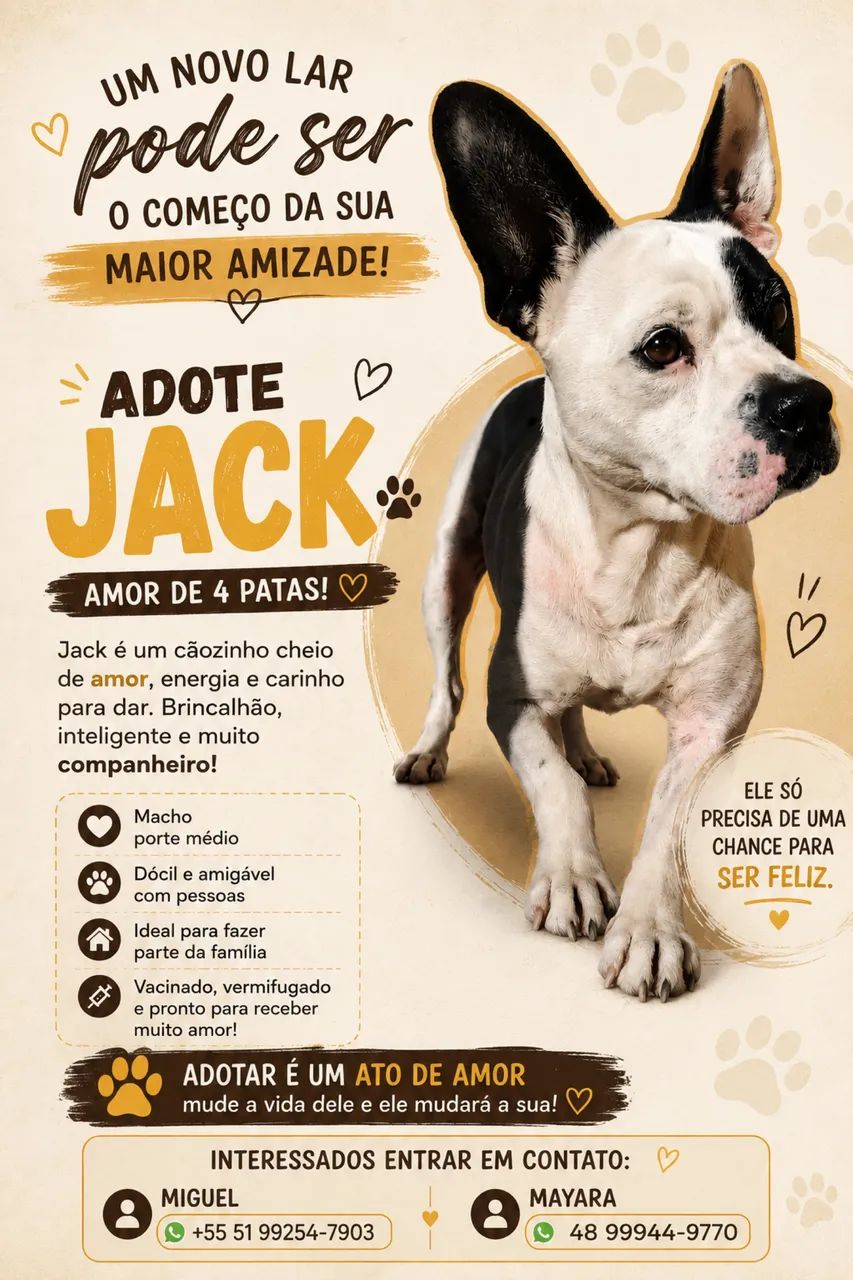 Adote Jack