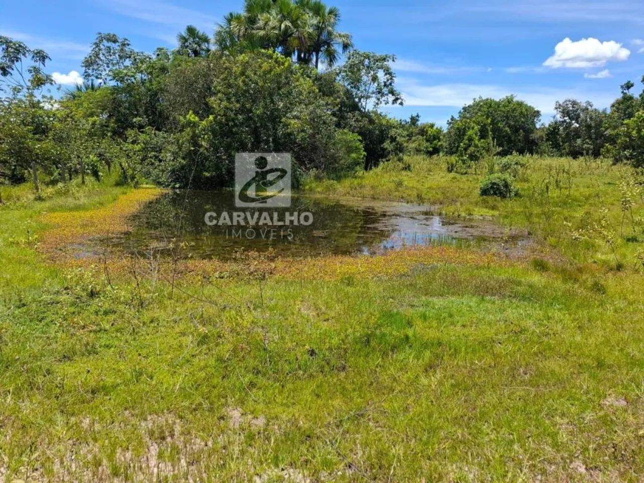 Fazenda a venda em Faina - GO - Foto 5