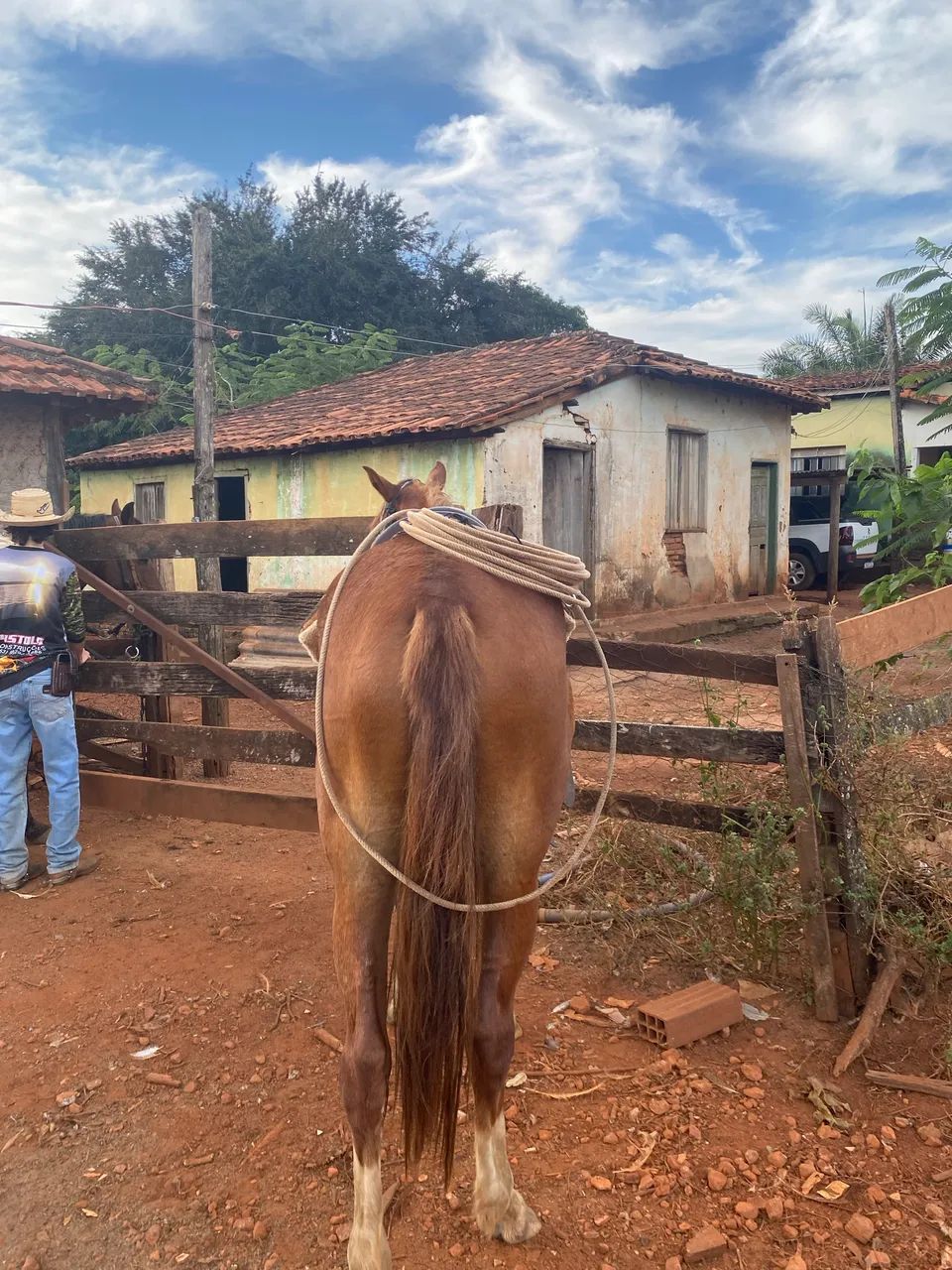Potra a venda  - Foto 5