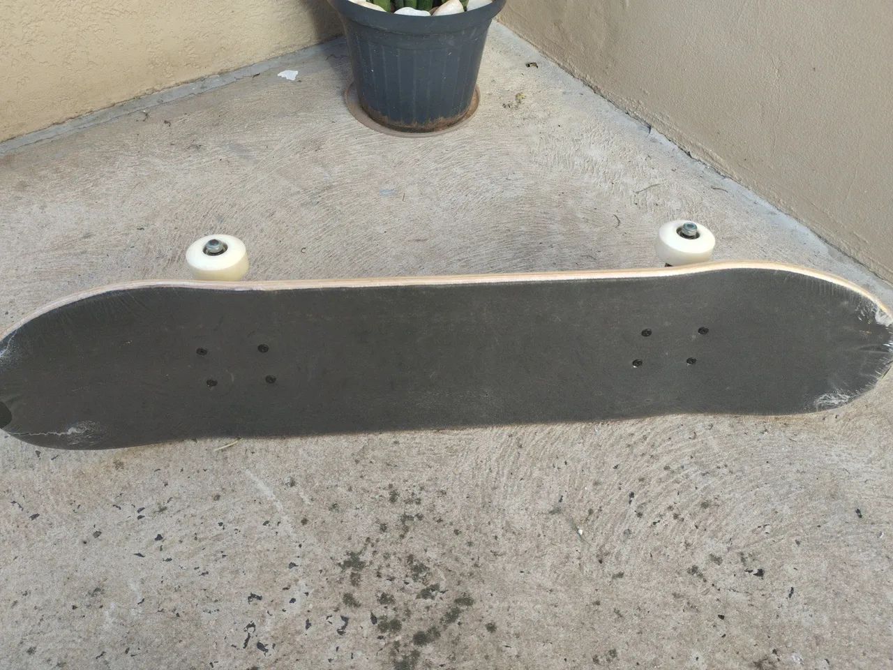 Skate Bob Burnquist  - Foto 2