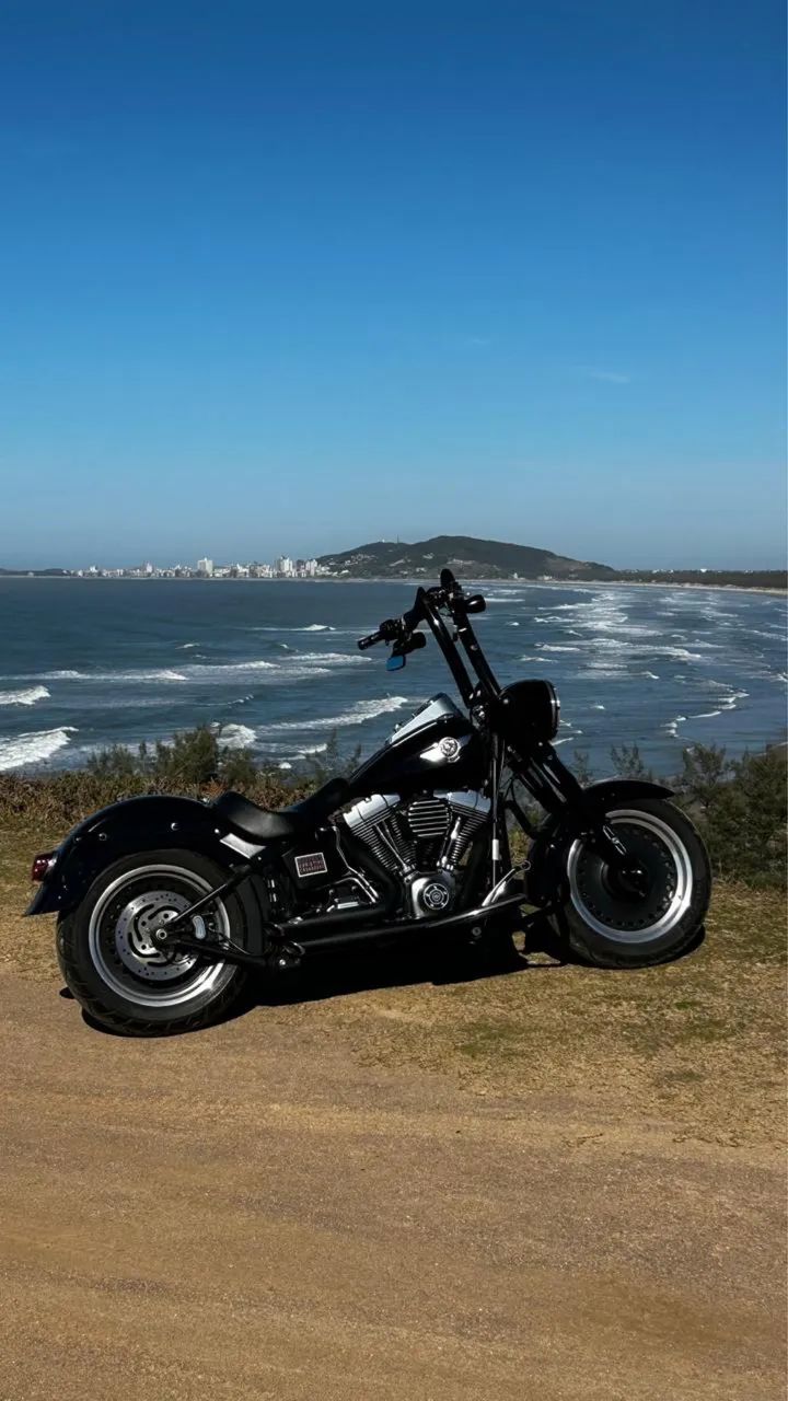 HARLEY-DAVIDSON FAT BOY SPECIAL 2014