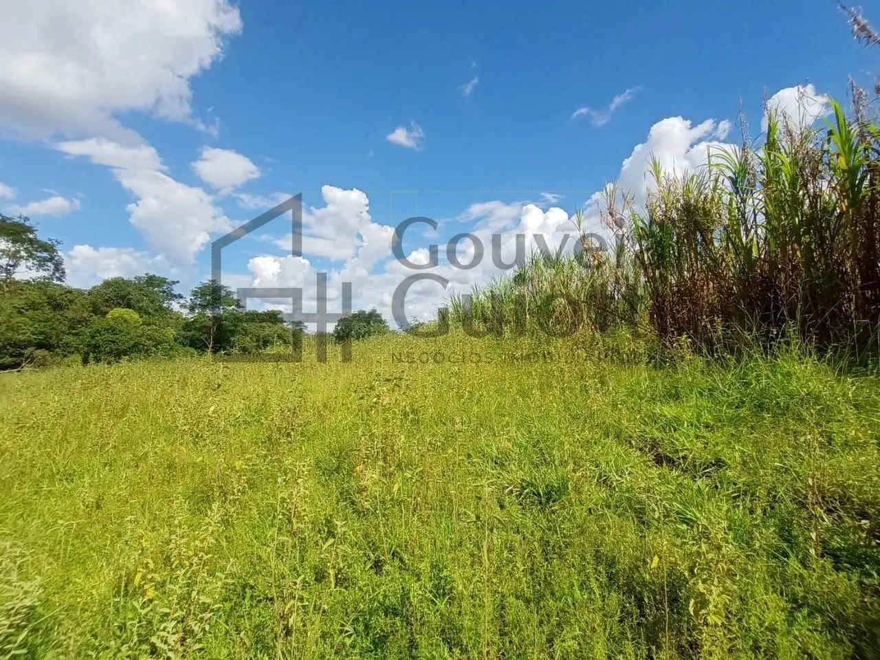 Chácara - Zona Rural - Abadiânia - Foto 5