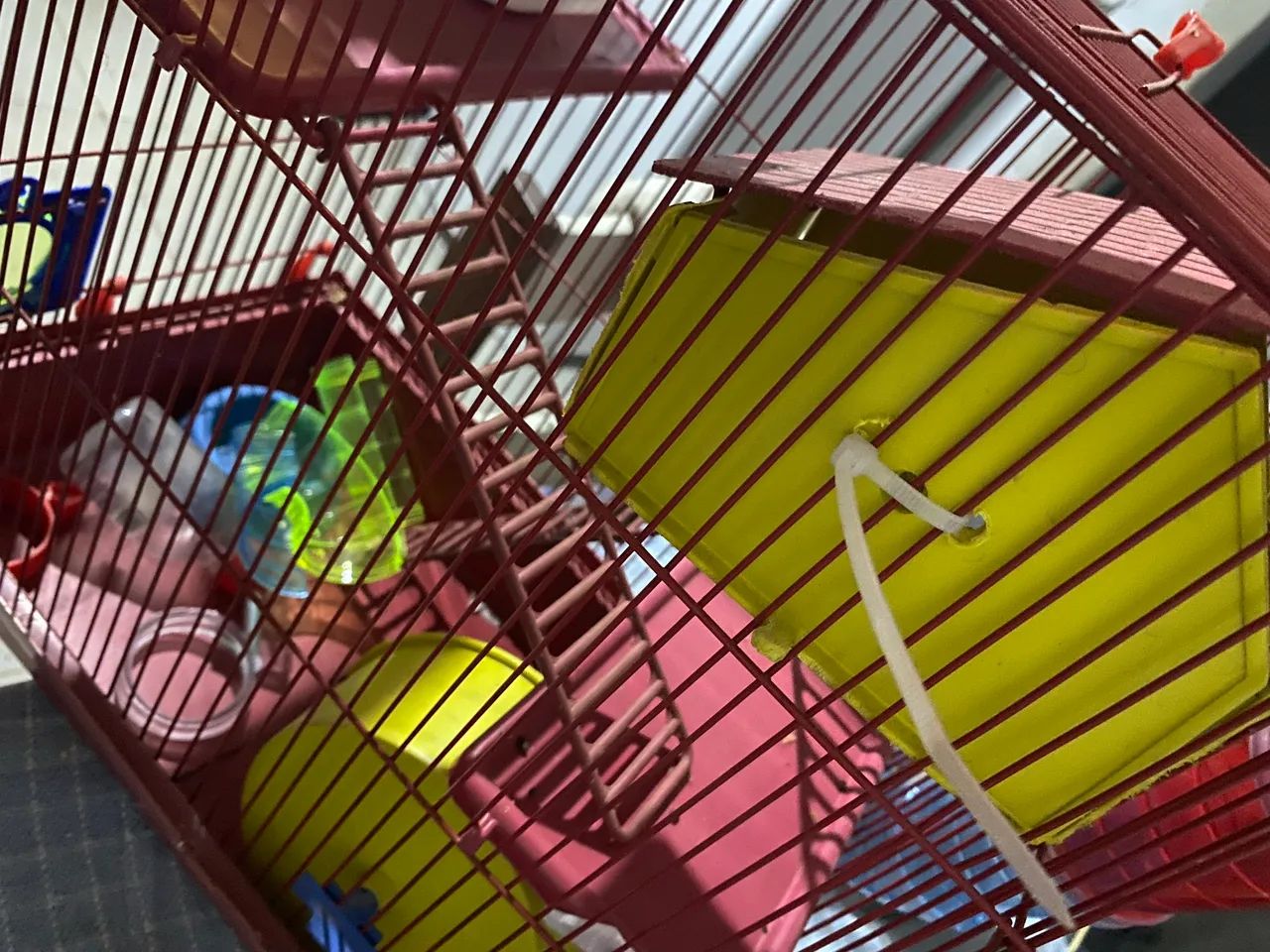 Gaiola para hamster 