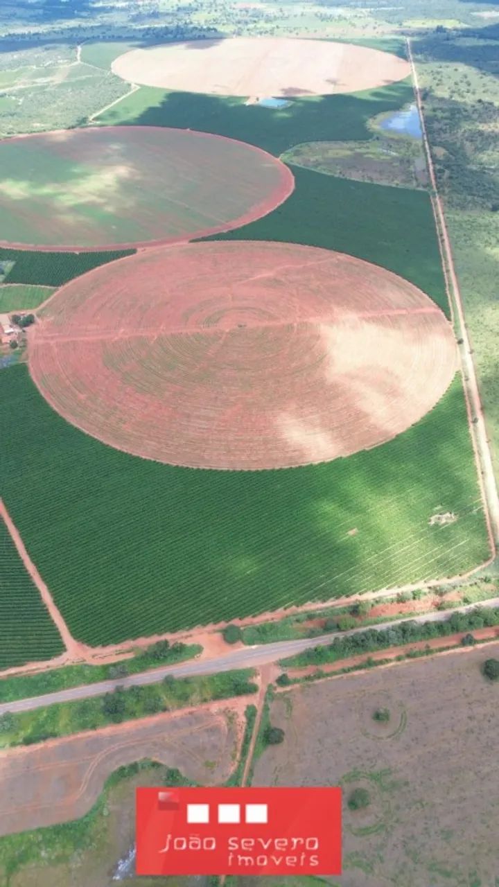 Fazenda para Venda em Patos de Minas - Foto 5