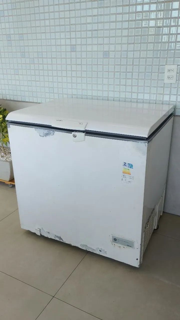 Freezer Horizontal 