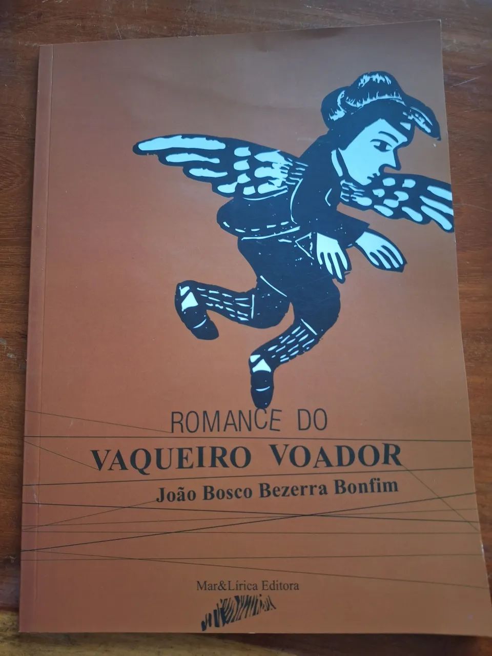 Livro NUNCA USADO-  Vaqueiro Voador 