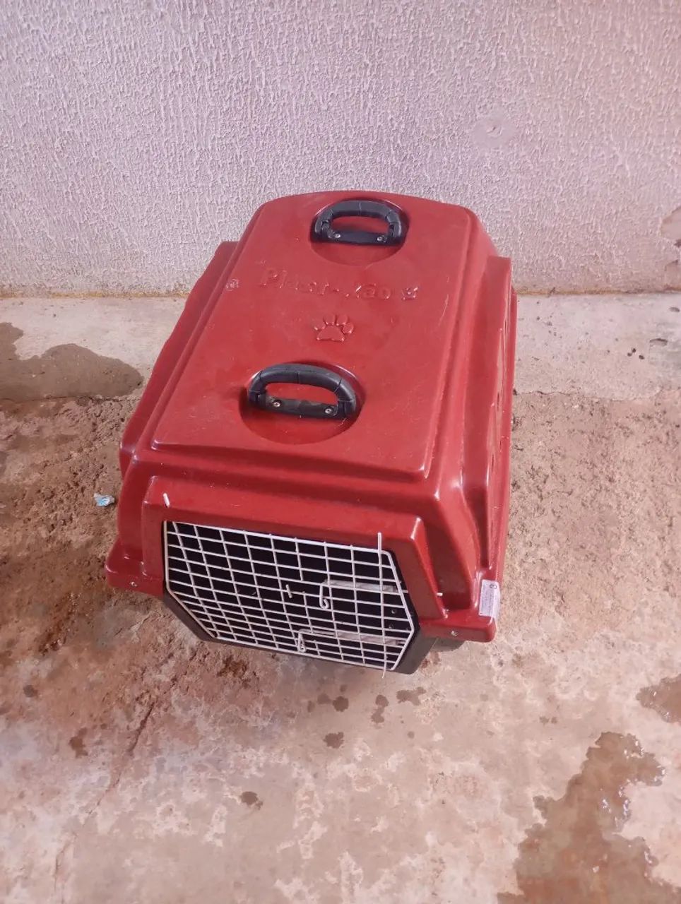 Baú transporte de cachorro 