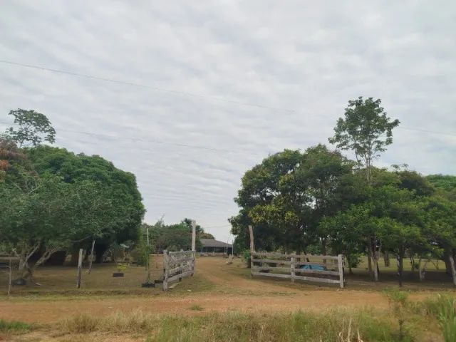  ? O verdadeiro paraíso para quem busca tranquilidade, produção rural e qualidade de vida - Foto 2
