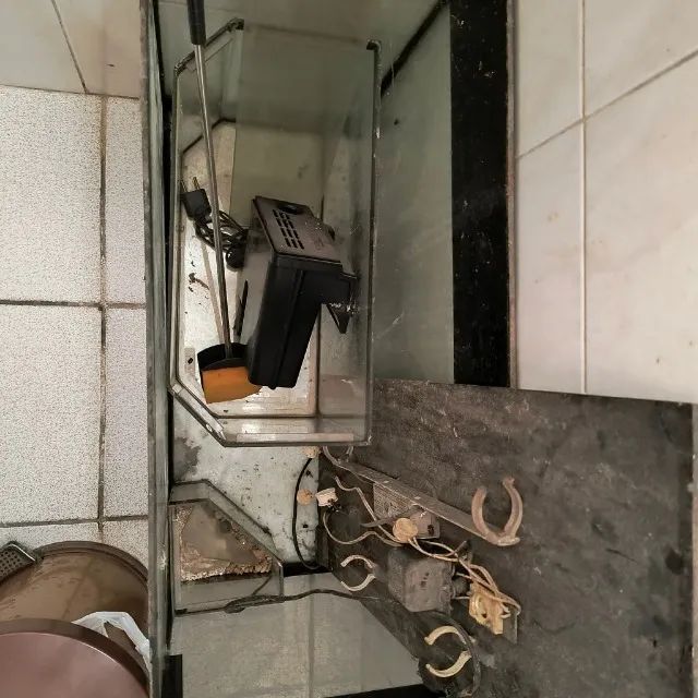 Aquário (03) - Foto 3