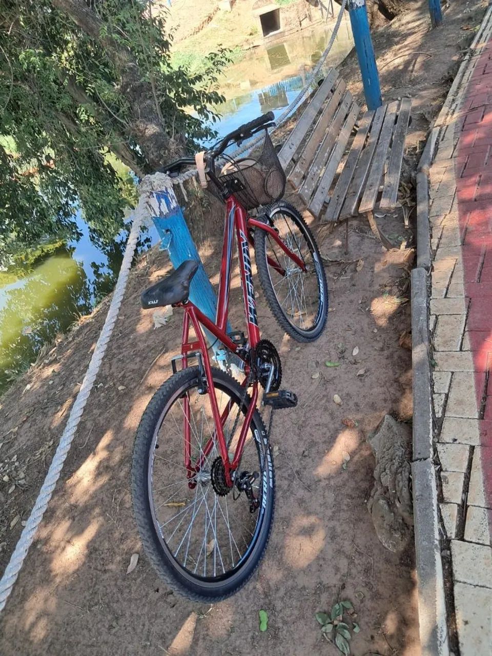 Bicicleta Feminina  - Foto 2