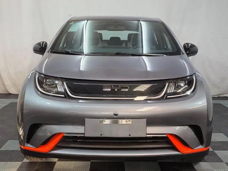 BYD Dolphin GS (Elétrico) 2027 - Foto 2