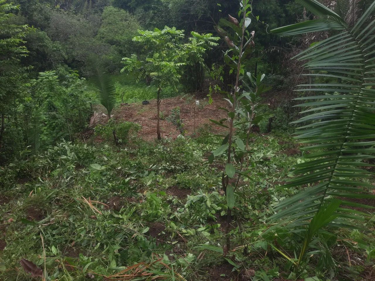 10×25 - Foto 2