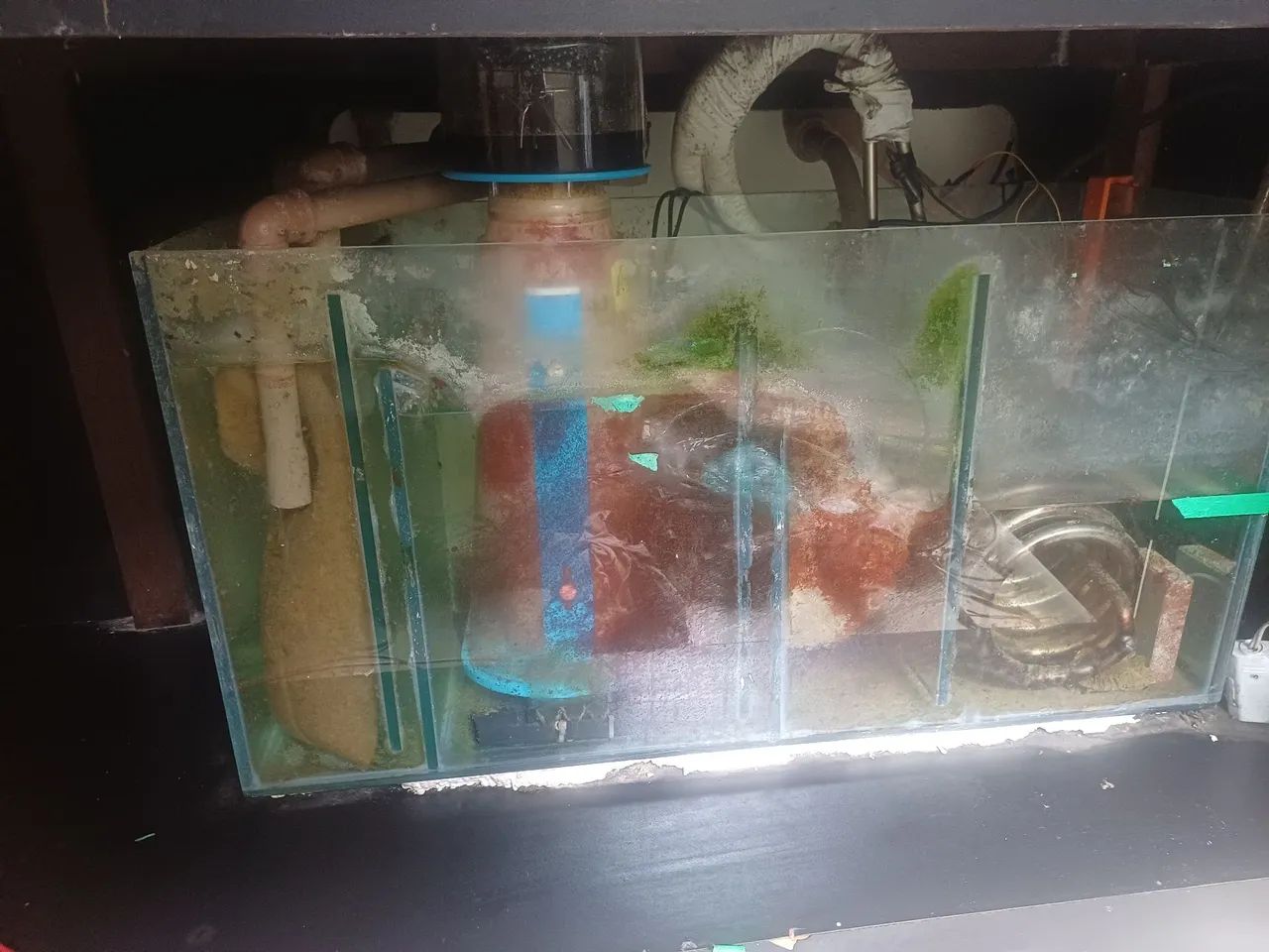 Aquário completo 450l!  - Foto 2