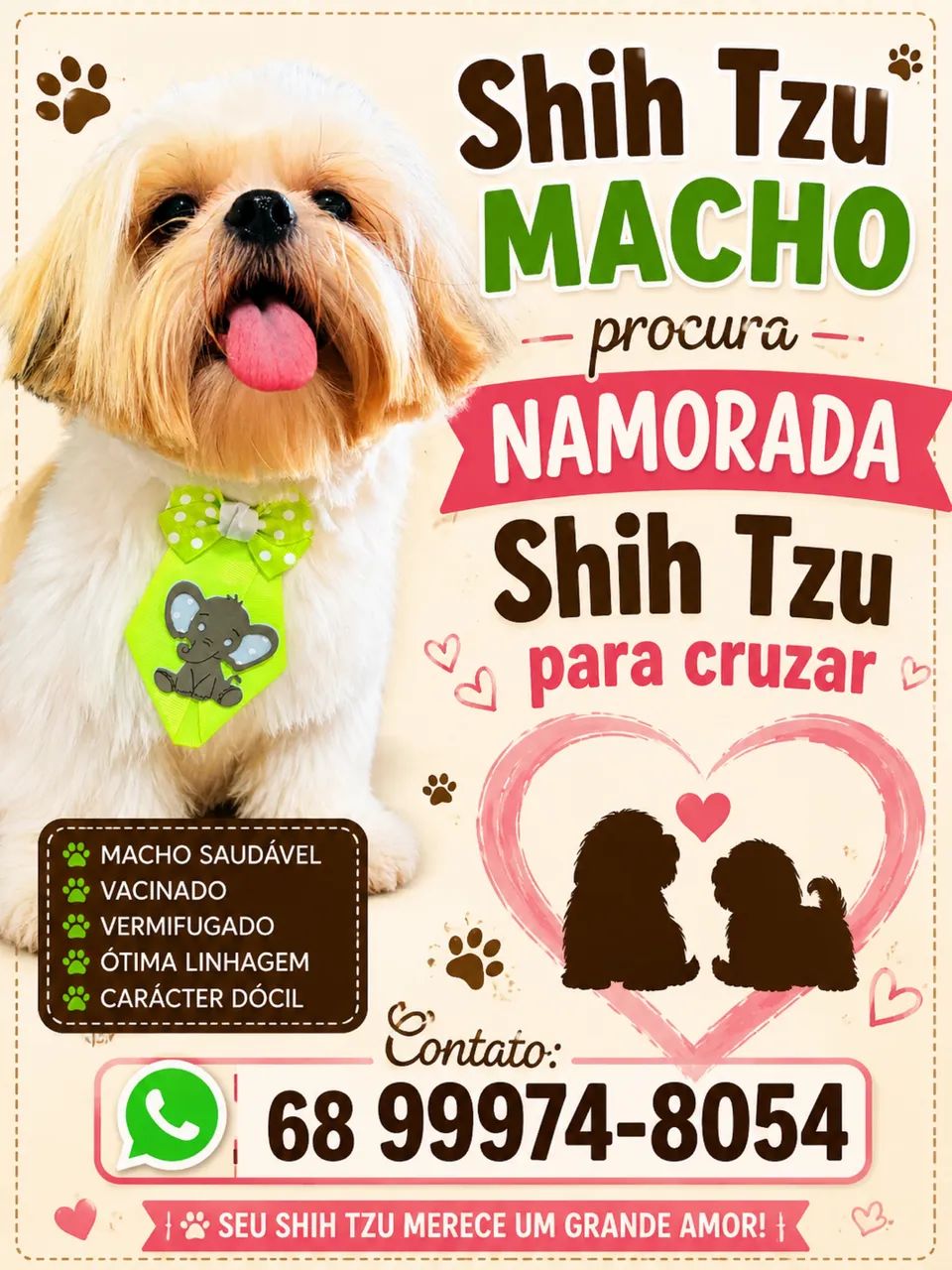 Cachorro