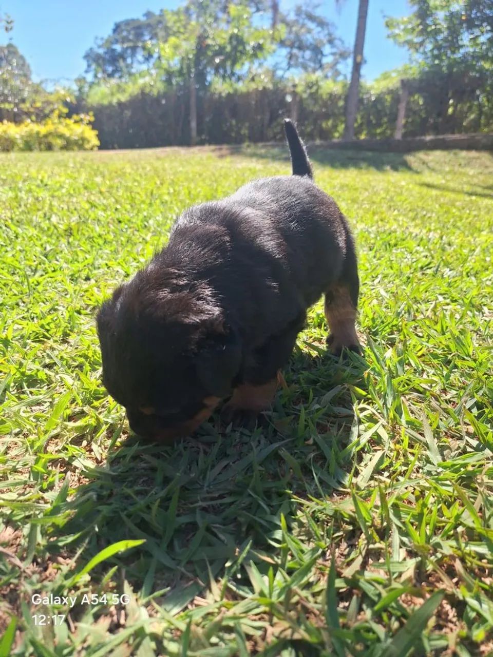Venda - Foto 5