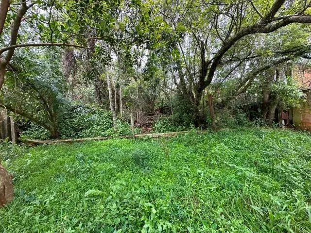 Vende-se  - Foto 4