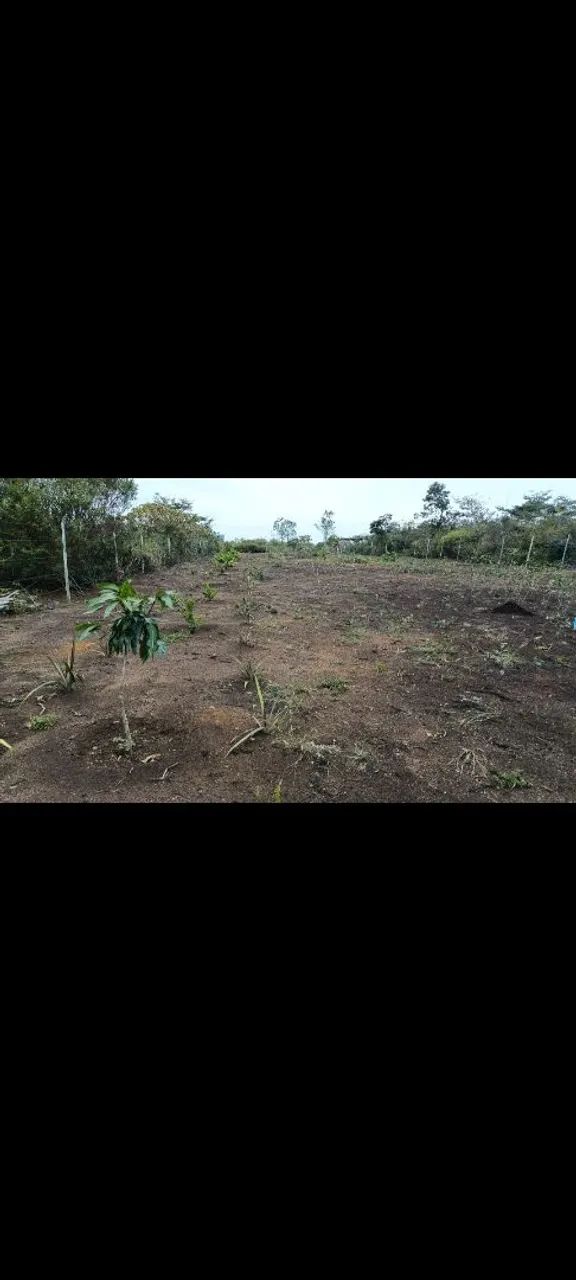 Sítio a venda  - Foto 3