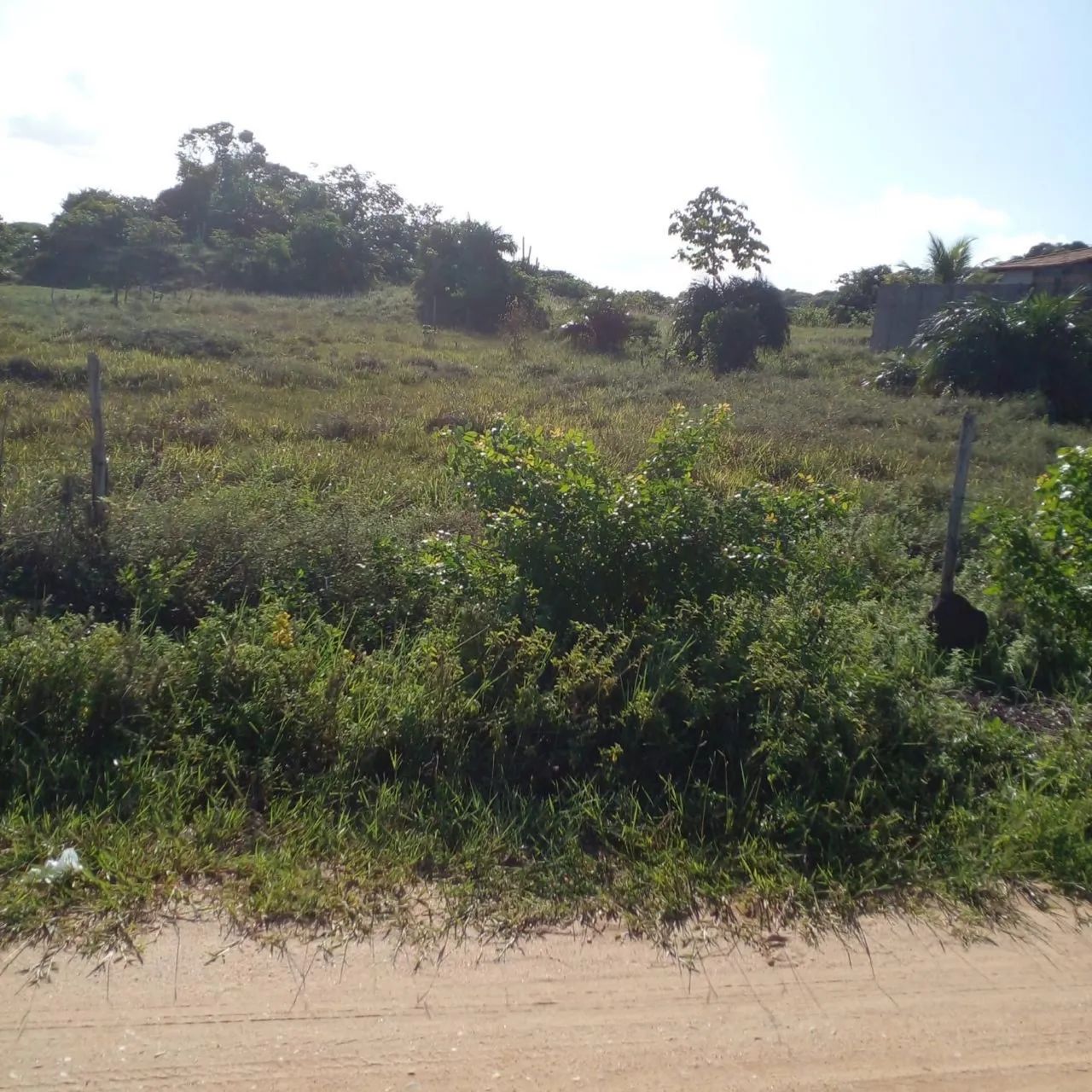 Vendo Excelente Terreno na Praia do Abaís - Estância/SE - Foto 3