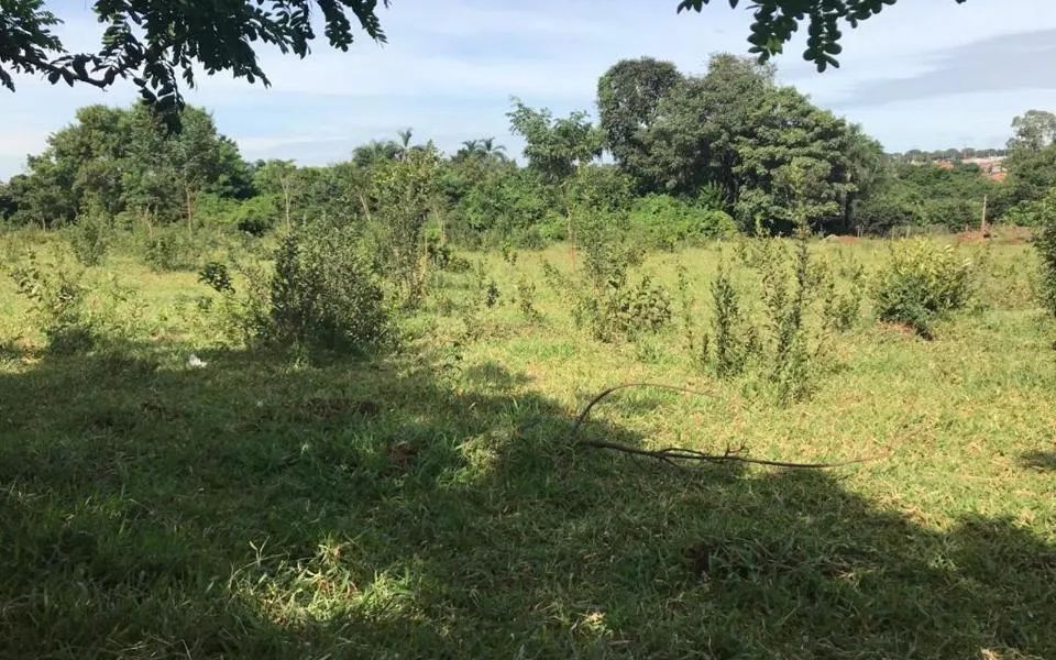 Campo Grande - Terreno Padrão - Jardim Centenário - Foto 5