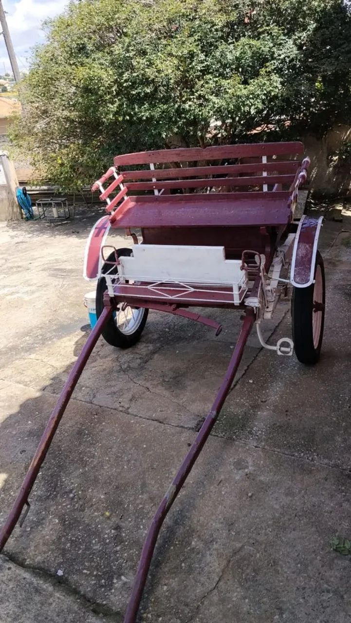 Charrete/carroça cavalo