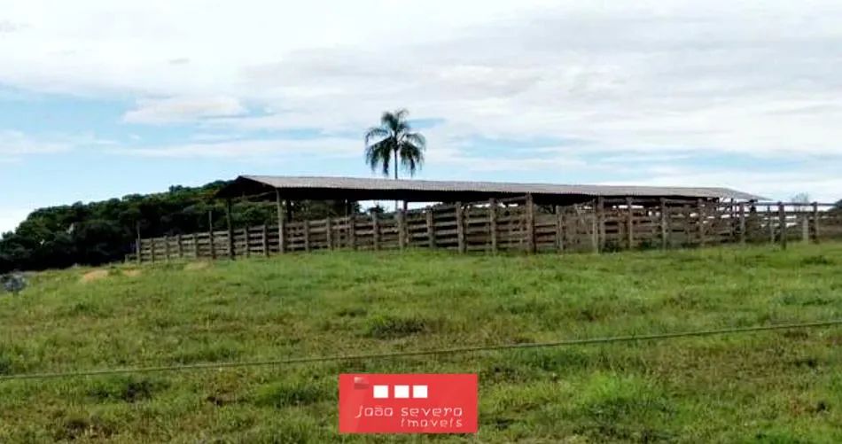 Fazenda para Venda em Sete Barras - Foto 4