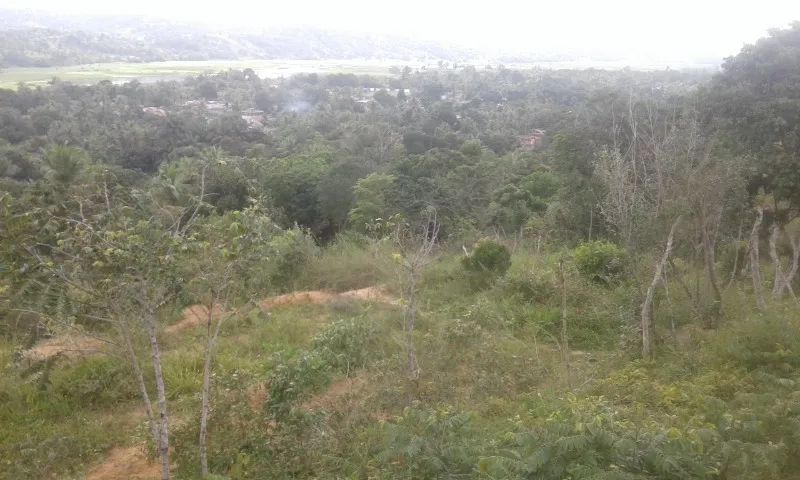 A GRADE OFERTA IMPERDIVEL  - Foto 3