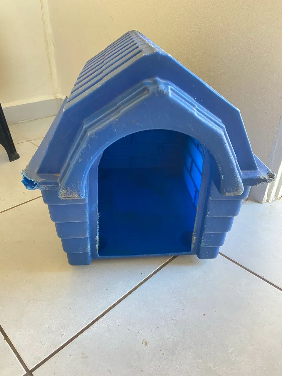 Casa pet/Capacete/Banco - Foto 4