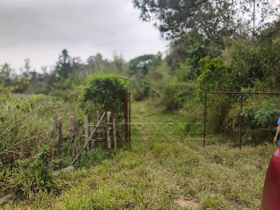 ÁREA, Bairro Caputera - Foto 2