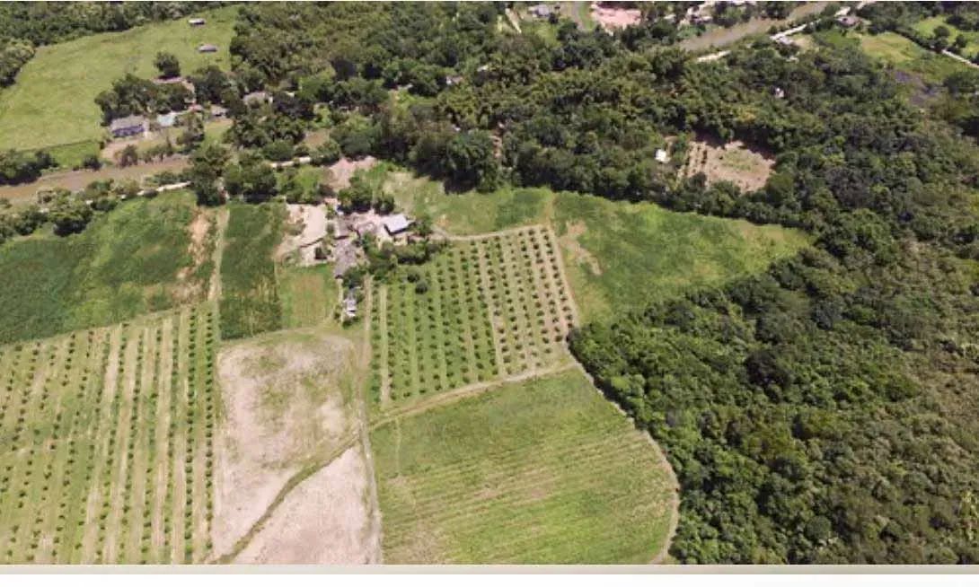 Área para venda em Piabetá - Foto 2
