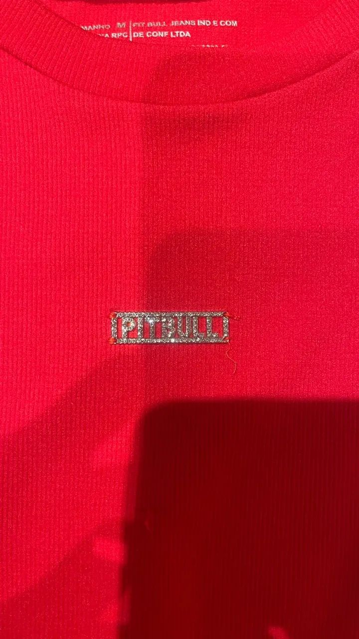 Vestido Tubinho Pitbull original  - Foto 2