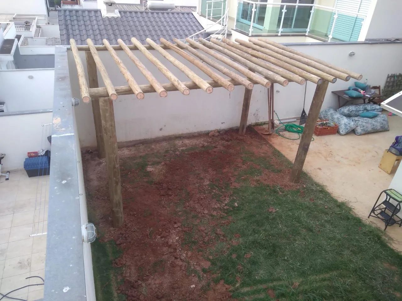 Eucalipto roliço  - Foto 2