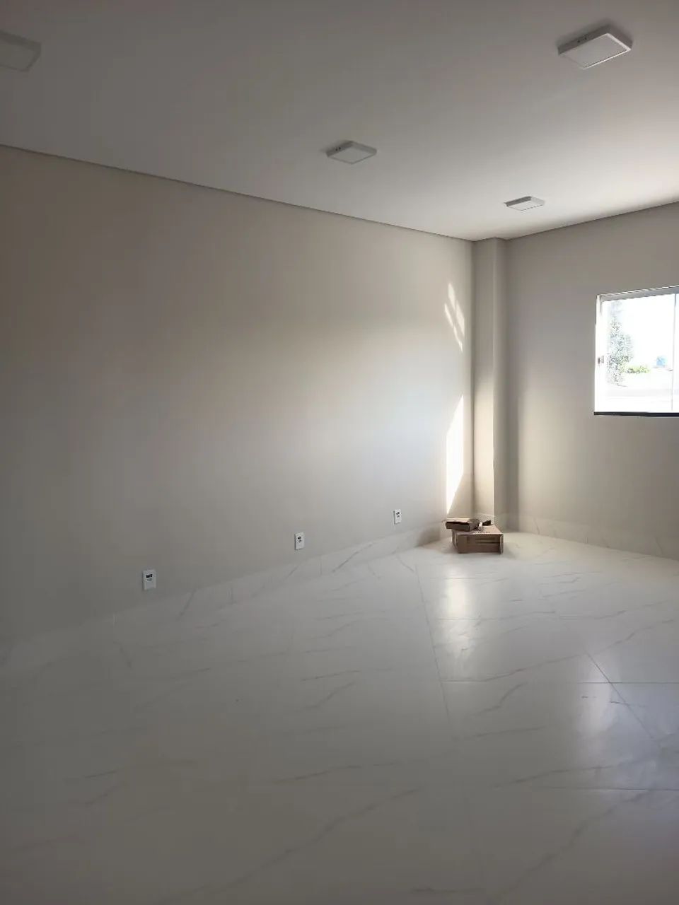 Pintor profissional 