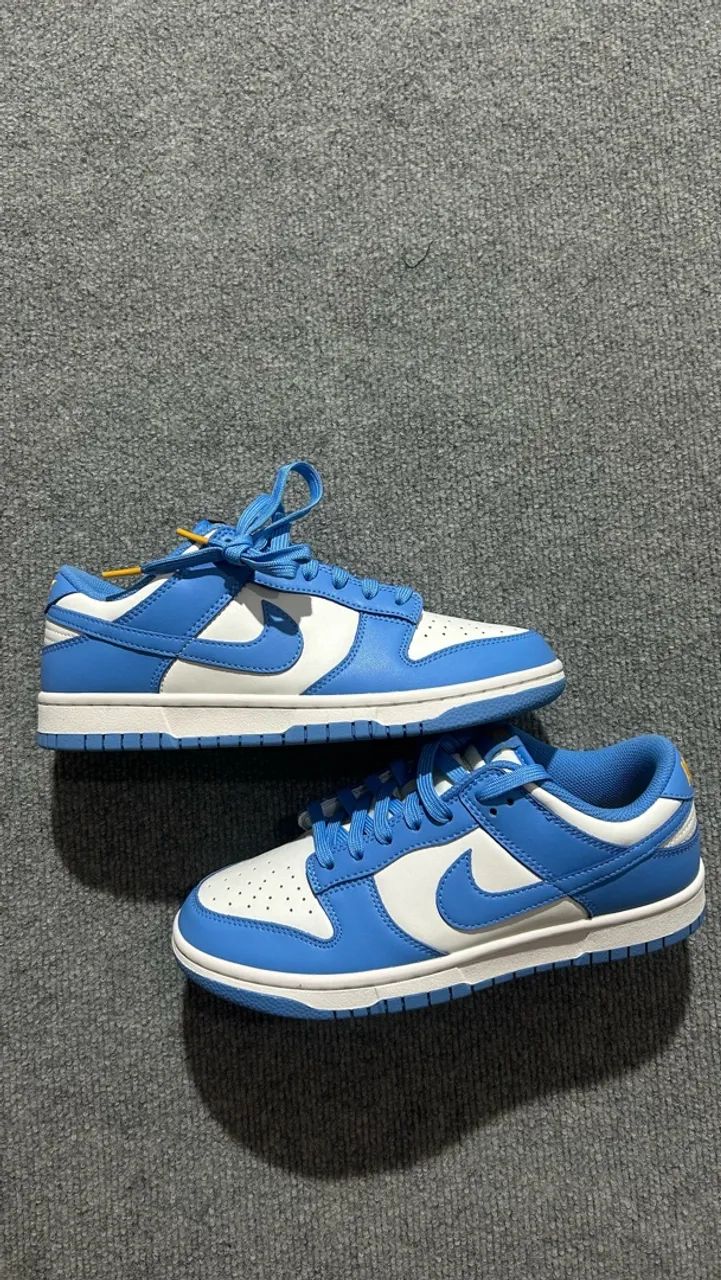 Nike Dunk Low Coast