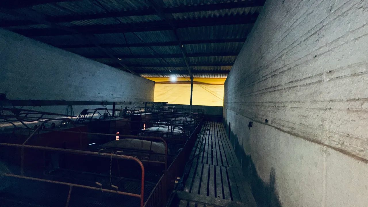 Vendo granja UPD